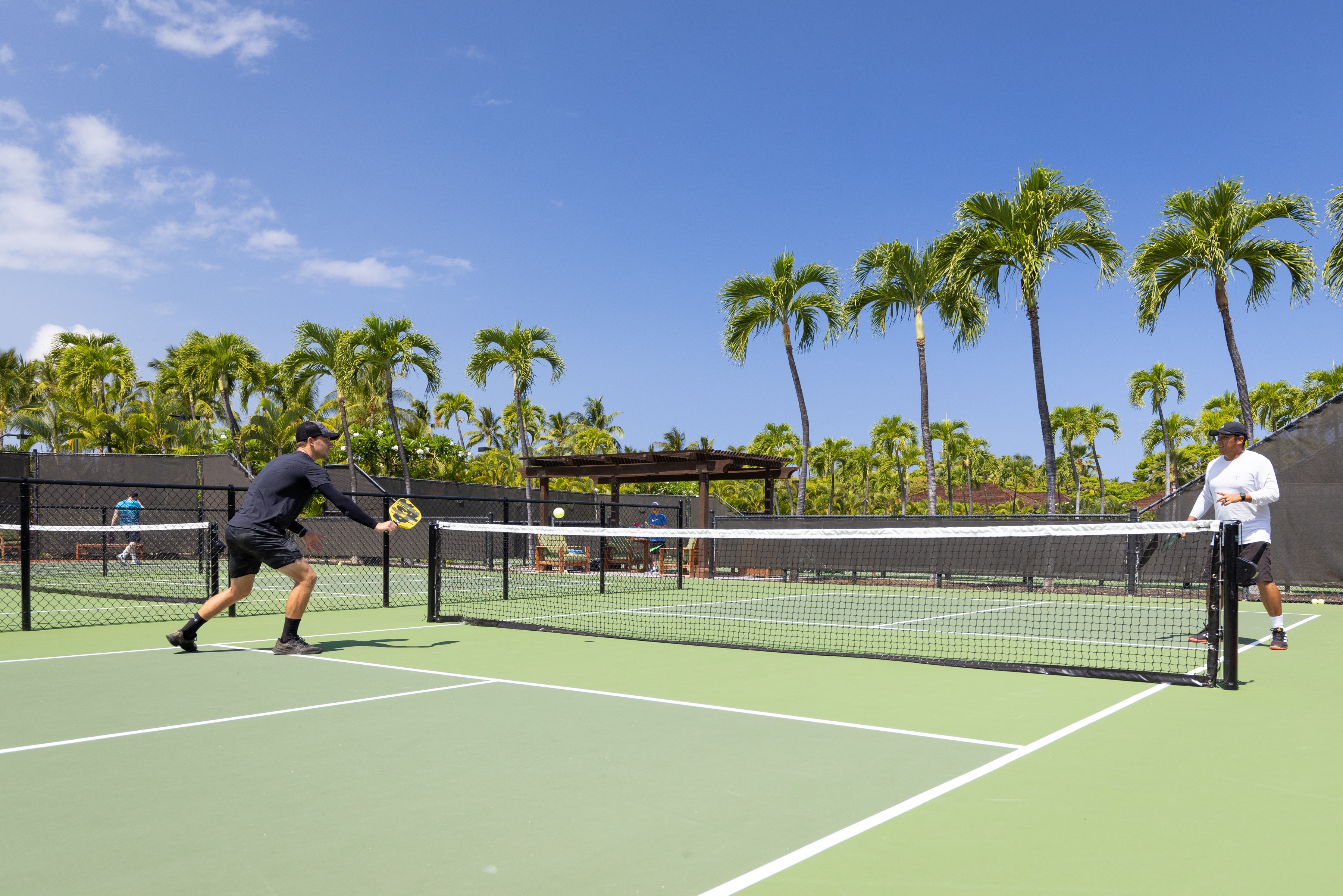 Two men playing pickleball in a tropical location